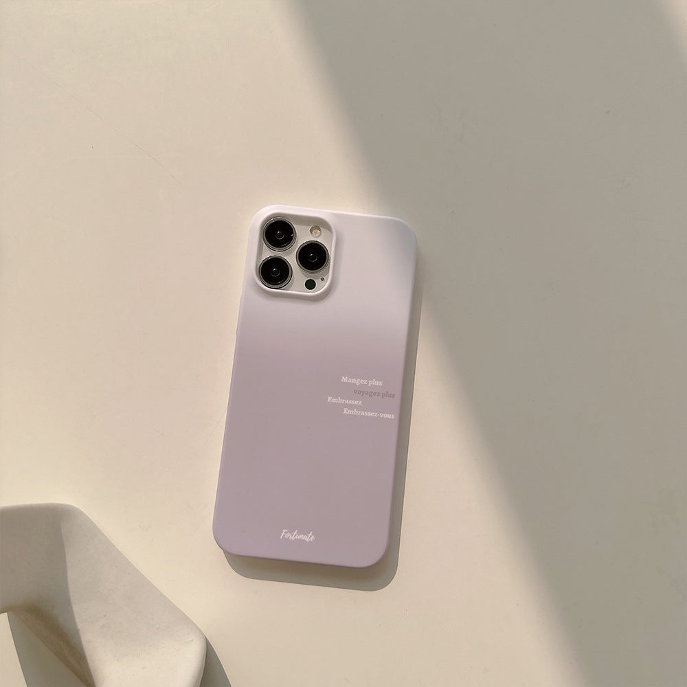 Morandi Gradient Case