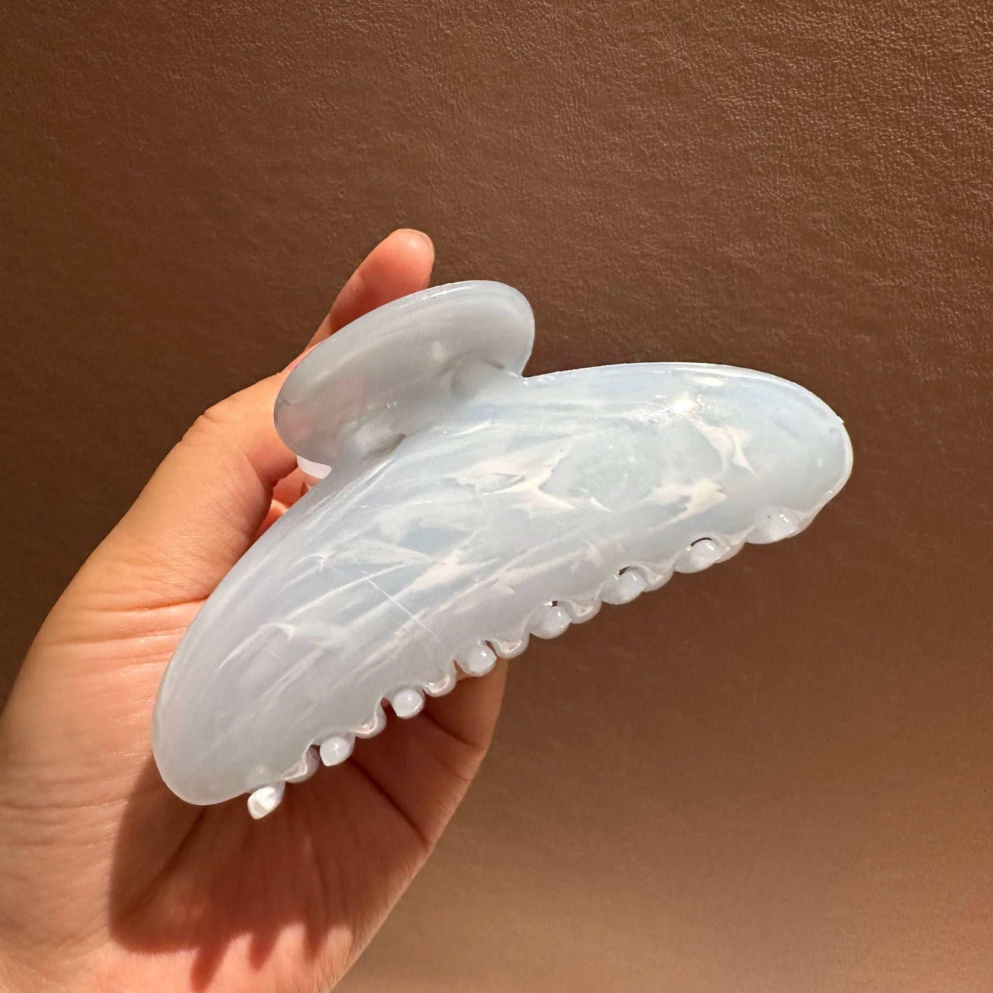 Translucent Hair Claw Clip